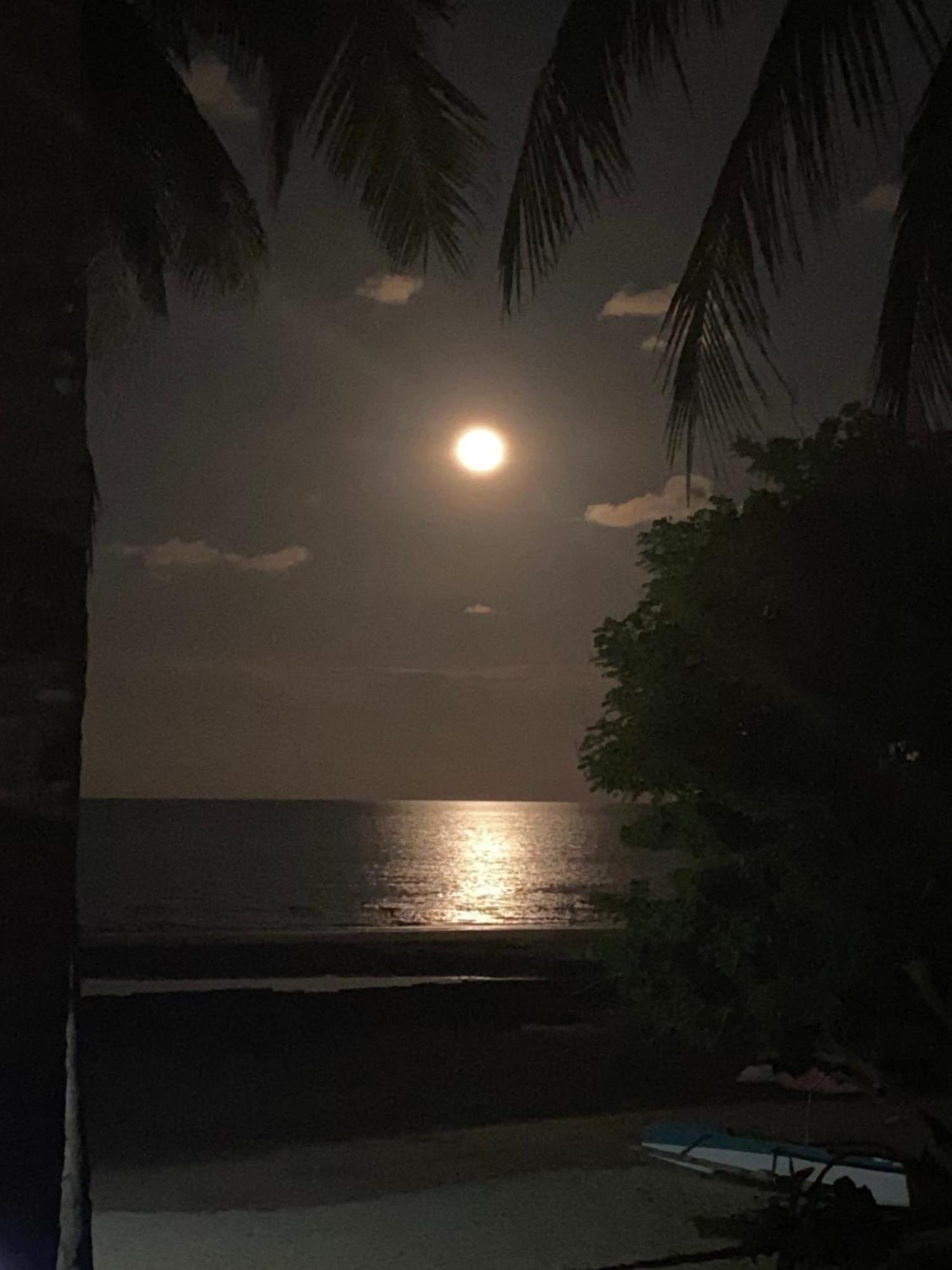 Surya Beach Resort Palawan Aborlan Bagian luar foto